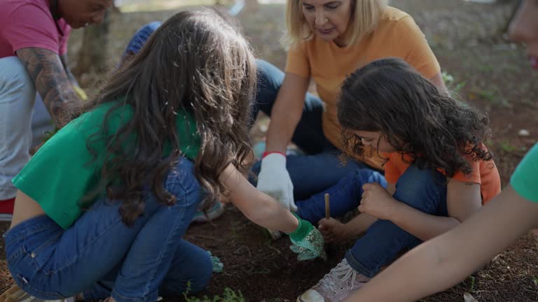 How Our Tree Care Process Works  in  Rendon, TX